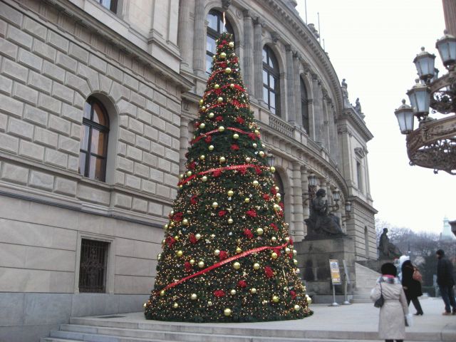 665159391_42.jpg