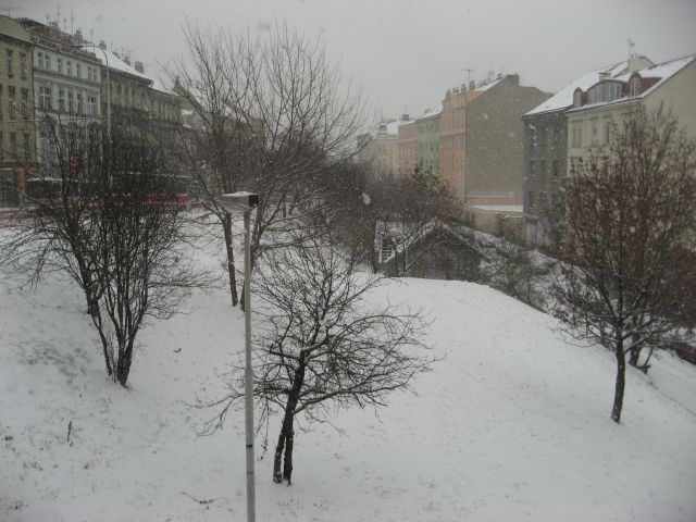 680728422_211.jpg