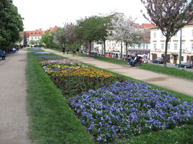 Praguekvetn.jpg