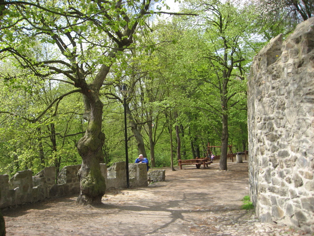 Taborpark.jpg